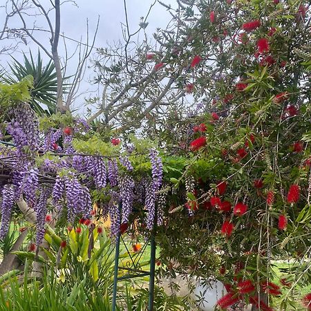 Agrib&B Lemontree Garde'N Συρακούσες Εξωτερικό φωτογραφία