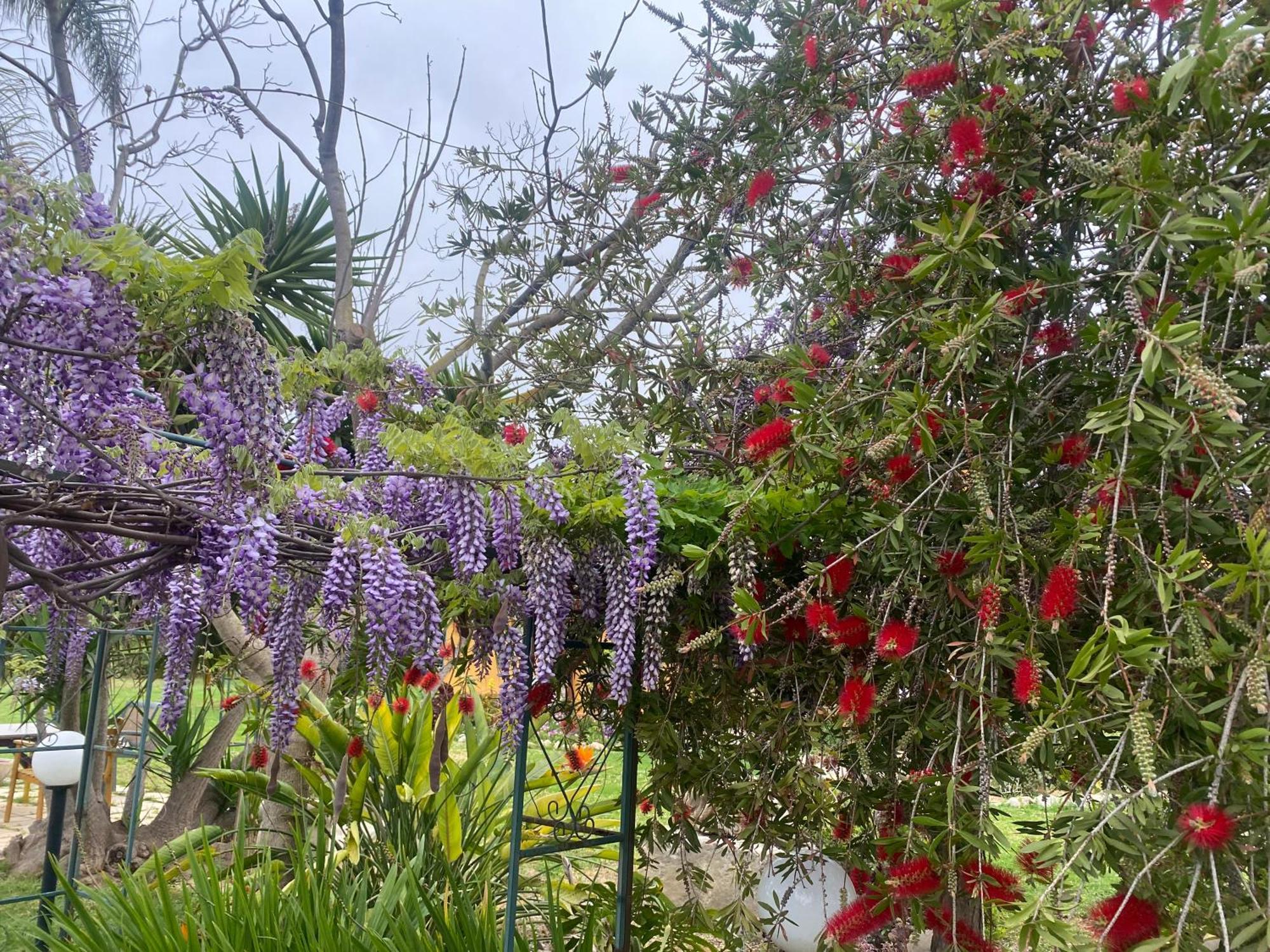 Agrib&B Lemontree Garde'N Συρακούσες Εξωτερικό φωτογραφία