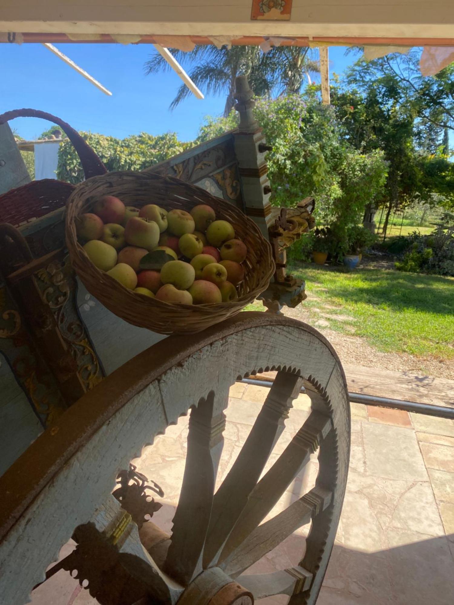Agrib&B Lemontree Garde'N Συρακούσες Εξωτερικό φωτογραφία